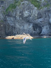 北海道の写真