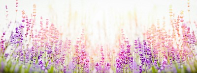 お花