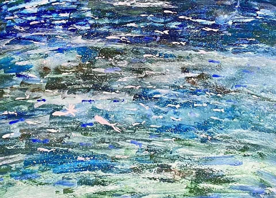 海の仲間